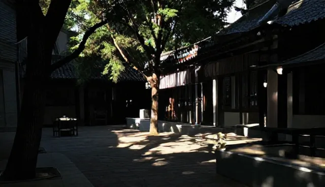 短视频拍摄选型与维护建议
